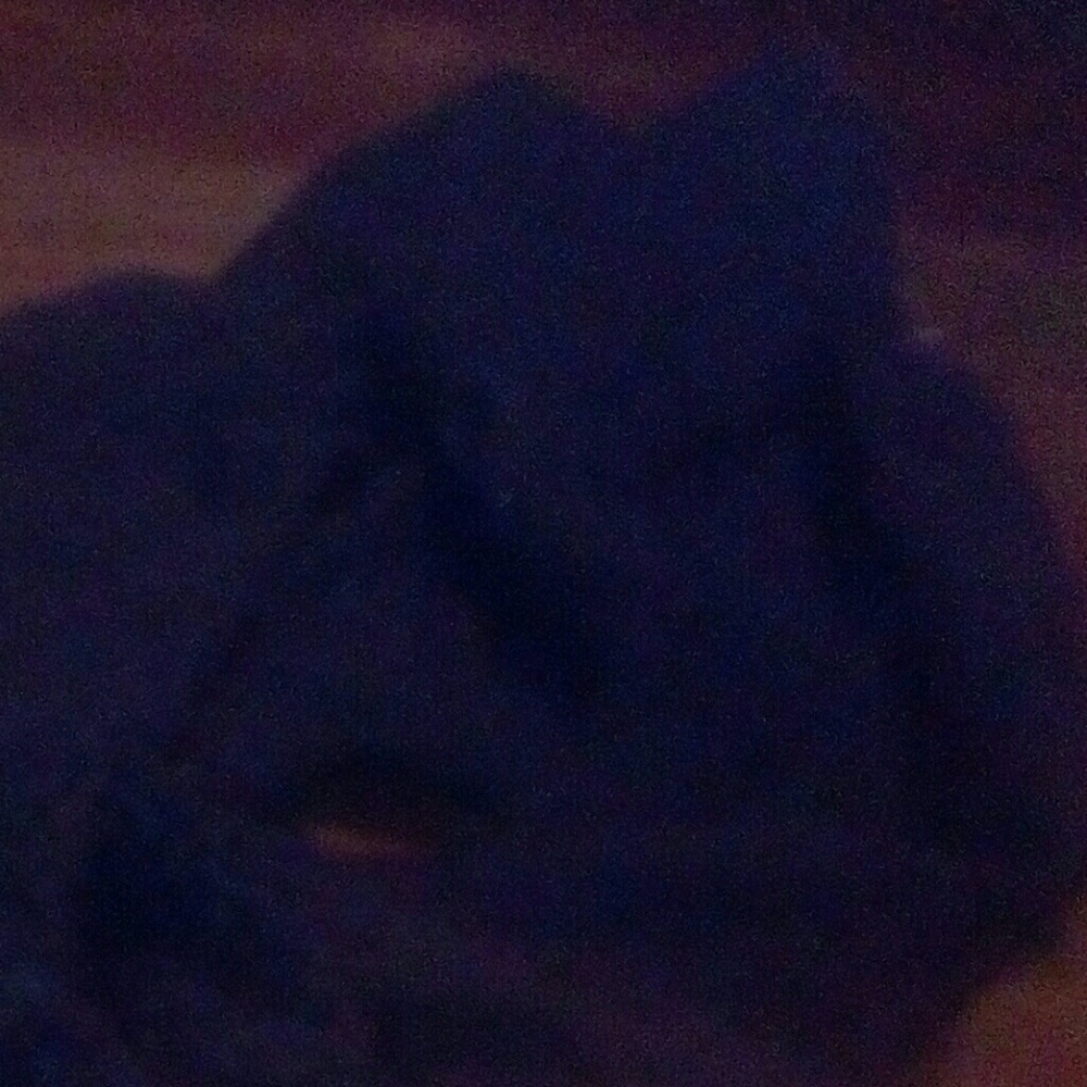 Pants or jacket
